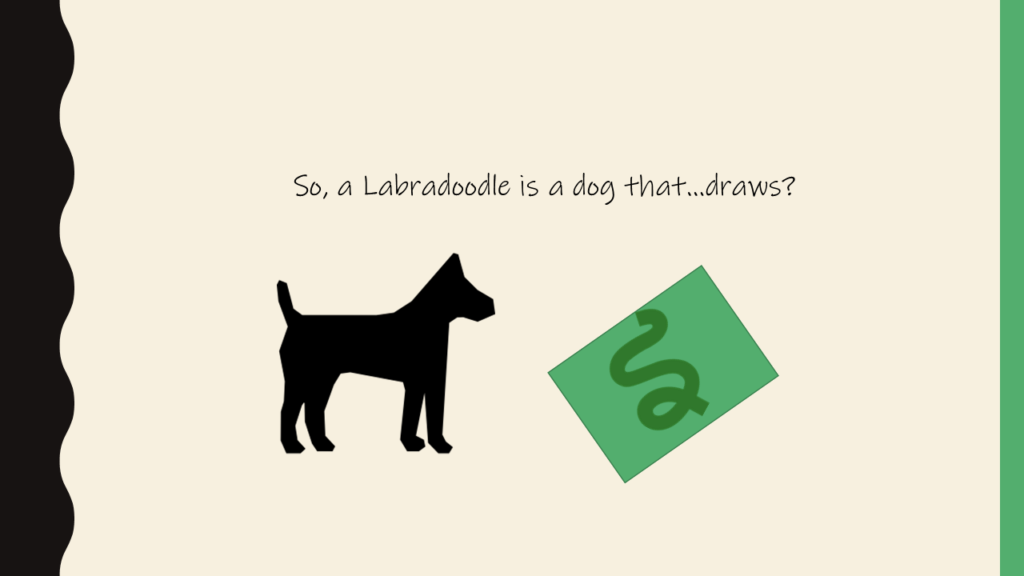 Image of a Labrador and the Image that he drew - he is a Labradoodle