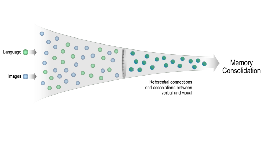    Language  and images – referential connections and associations between verbal and visual = Memory Consolidation 