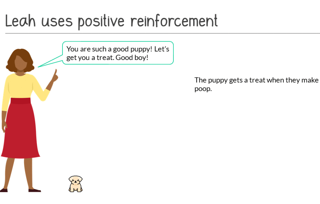 Leah Uses positive reinforcement - You are such a good puppy! Let's get you a treat. Good boy! - The puppy gets a treat when they make a poop.