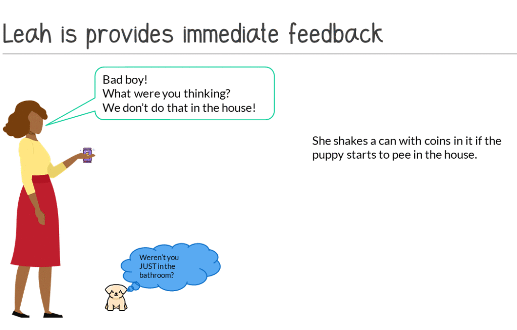 Leah is provides immediate feedback - Bad boy! What were you thinking? We don't do that in the house! - She shakes a can with coins in it if the puppy starts to pee in the house.