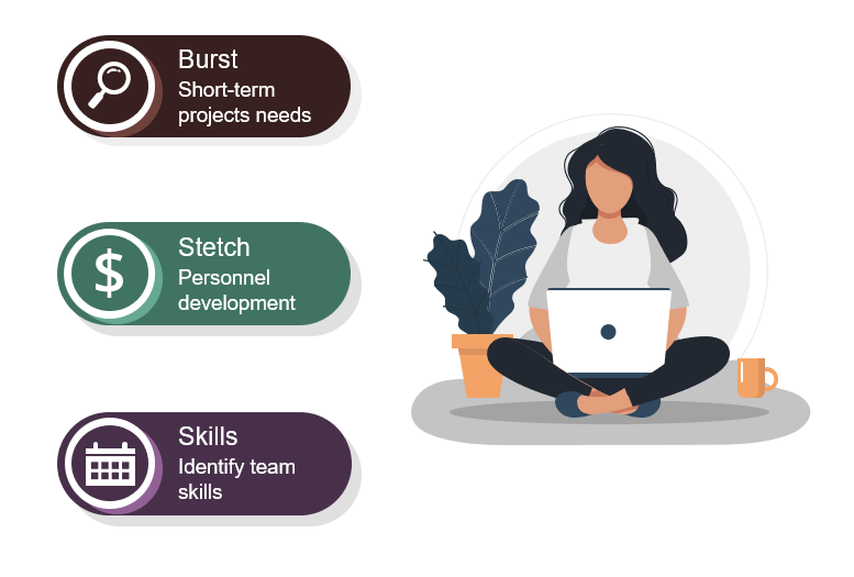Burst - short-term projects needs 
stetch - personnel development
skills - identify team skills